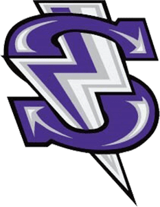 windy city storm logo