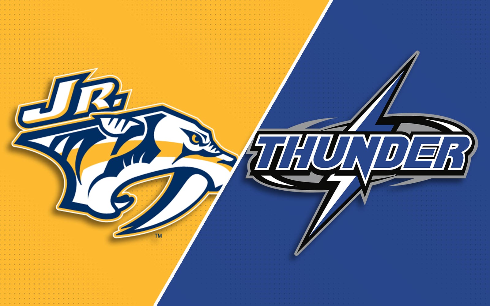 Generic NJP Thunder Post Image