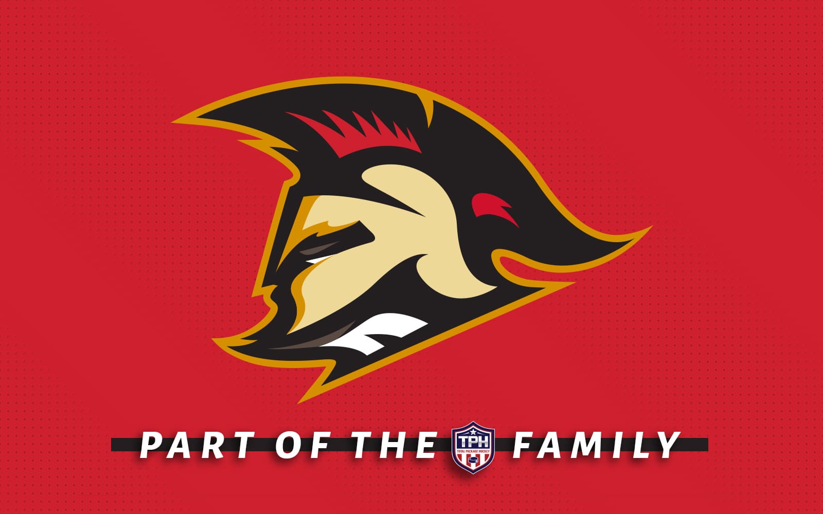 Generic TSS Post Image