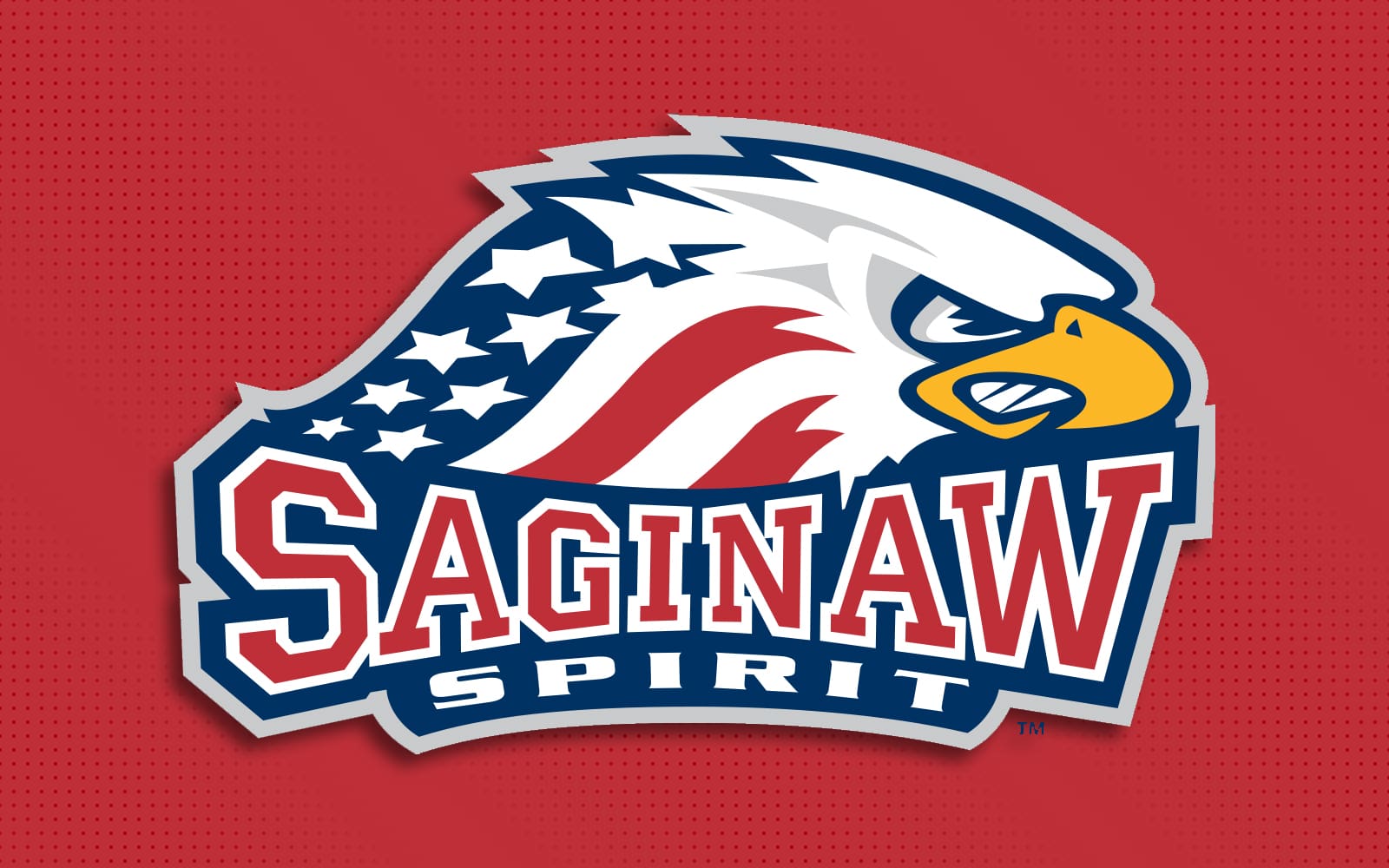 Saginaw Spirit
