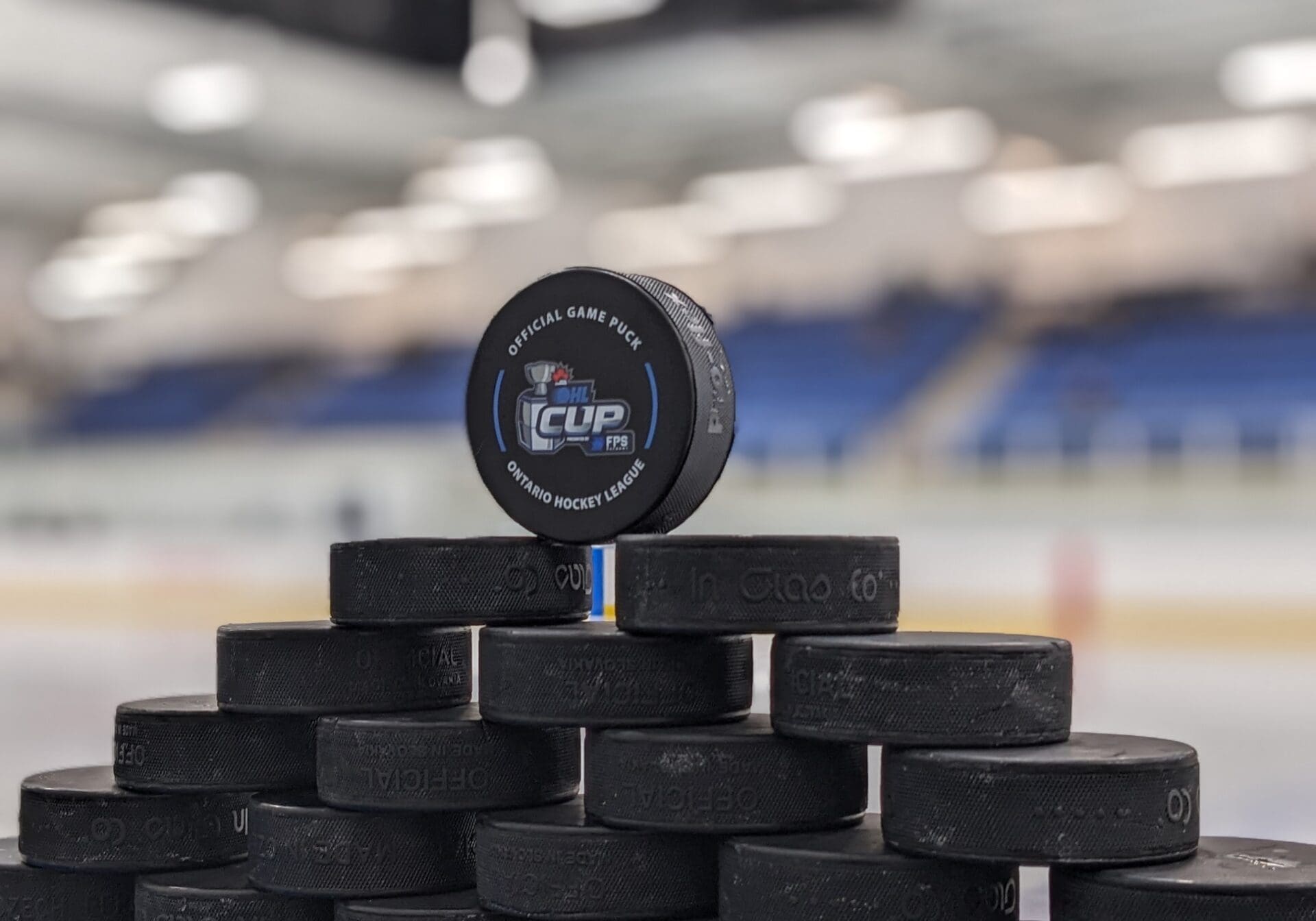 PXL_20240326_133515874